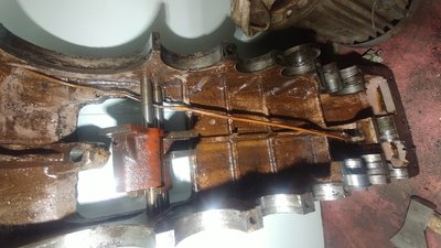 20190420_171907.jpg