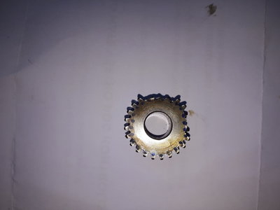 20190612_135131.jpg