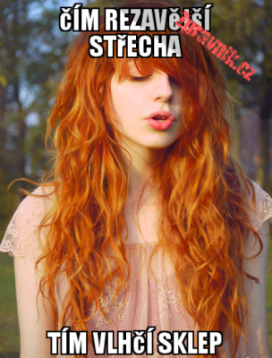 střecha.png