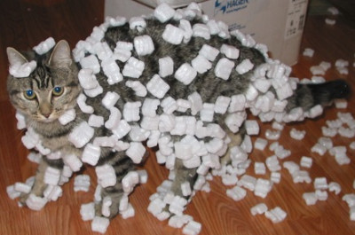 Cat_demonstrating_static_cling_with_styrofoam_peanuts.jpg