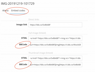 Screenshot 2019-12-20 at 13.43.25.png