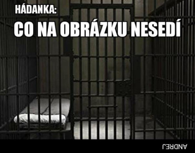 CoNesedi.jpg