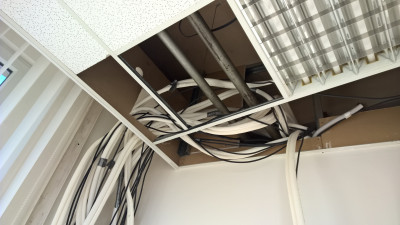 WP_20200310_08_49_36_Pro.jpg