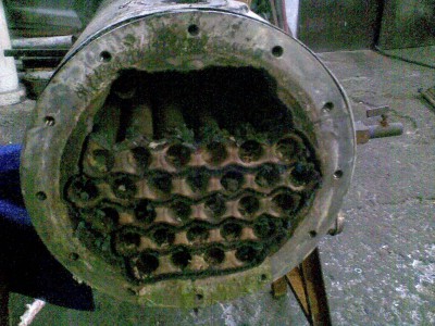 Obraz008.jpg