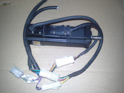 DANZ80w-2.jpg