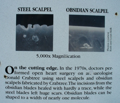 scalpel.jpg