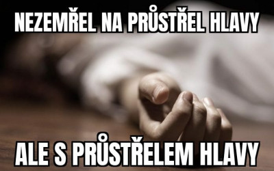 nezemrel_na_ale_s.jpg