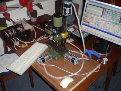 photo3.JPG