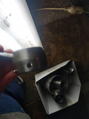 received_289764542569949.jpeg