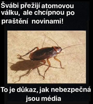 64896_n.jpg