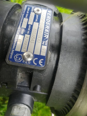 187784729_981035442692864_8056664638268943624_n.jpg