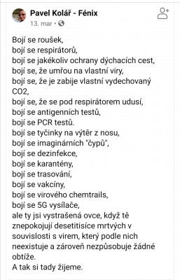 ovce.jpg