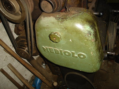 DSC08682.JPG