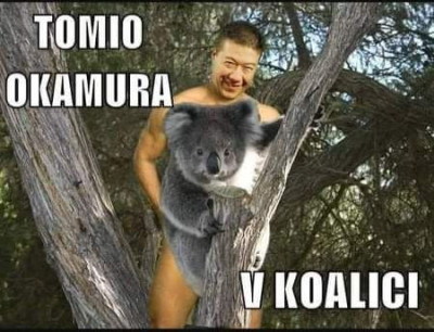 VKoalici.jpg