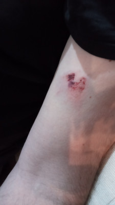 IMG_20220120_205633.jpg
