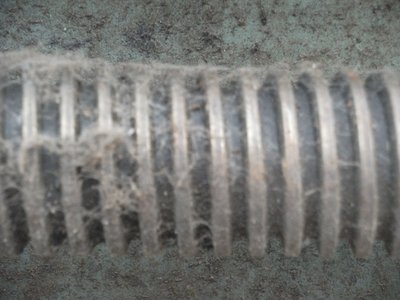 DSCF0697.JPG