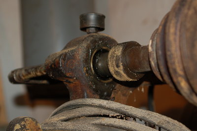 DSC_7929.JPG