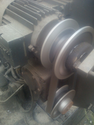 IMG_20220705_190430.jpg