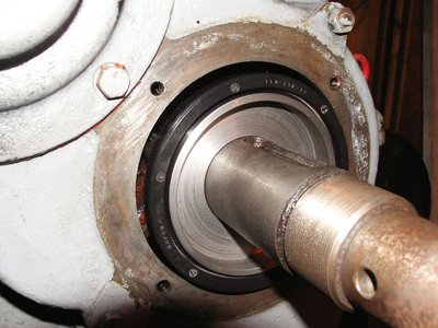 KIF_5981.JPG