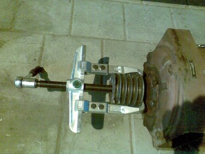 Obraz105.jpg