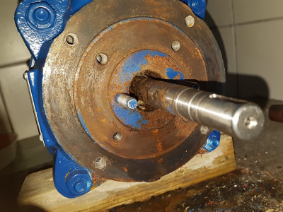 20230826_094745.jpg (502.91 KiB) Zobrazeno 4735 x Před