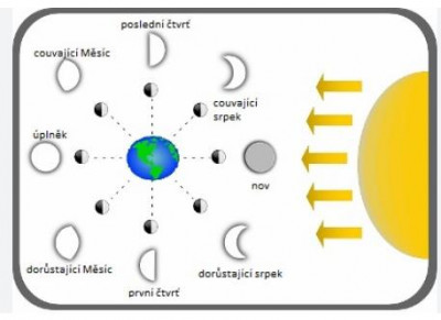 mesic02.jpg