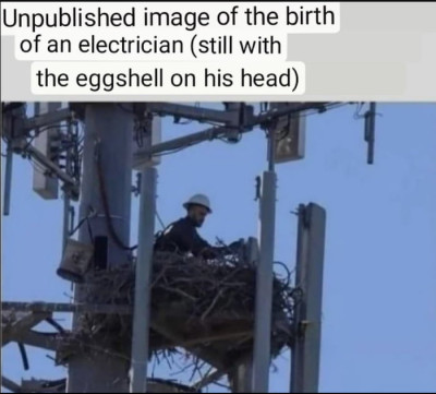 elektrikari.jpg