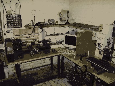 P5150858.JPG