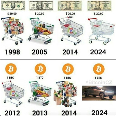 BTC koš.jpg