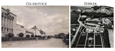 Volman Žebrák.jpg