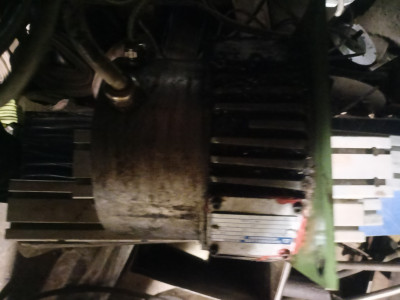 IMG20250211104933.jpg