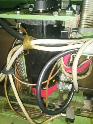IMG20250313063435.jpg