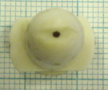 DSC00472.jpg