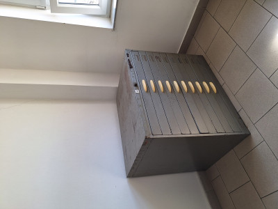 1000031145.jpg