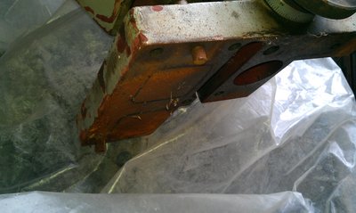 IMAG0174.jpg