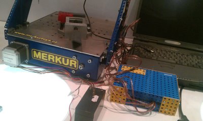 IMAG0135.jpg