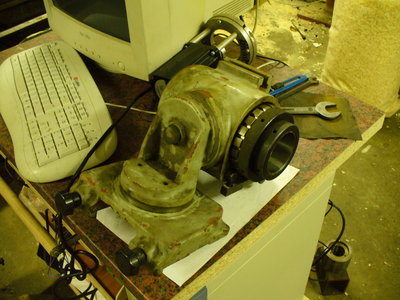 osa zz 013.jpg
