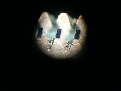 P1070850.JPG