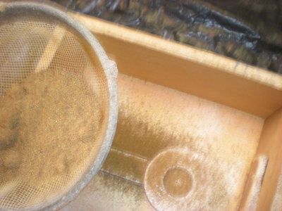 DSCN2222.JPG