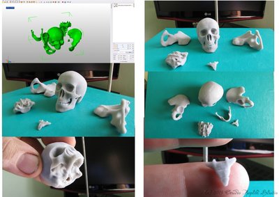 3D_tisk_hlucin_2.jpg