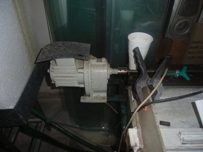 CIMG0976.JPG