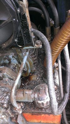 IMAG0690.jpg