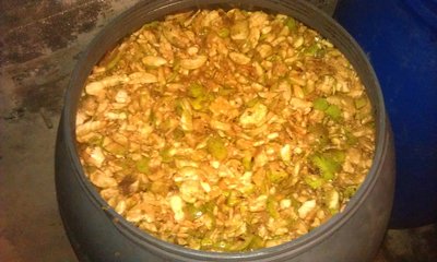 IMAG0677.jpg