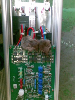 Obraz021.jpg