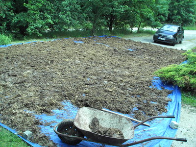 PICT1191.JPG (2.99 MiB) Zobrazeno 25843 x sušení koňského hnoje