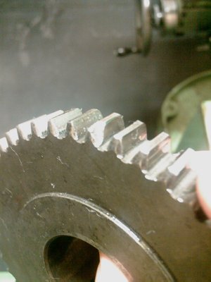 IMAG0461.jpg