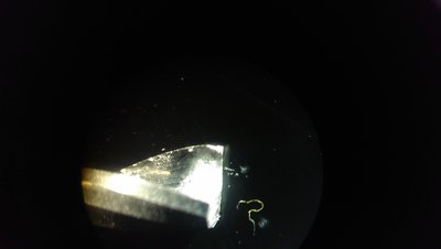 IMAG0282.jpg
