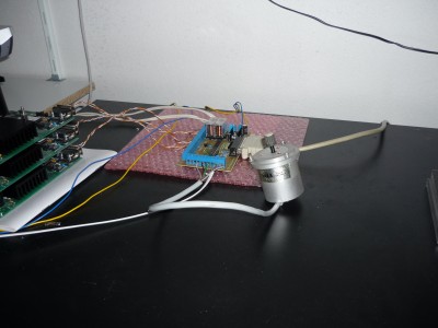 P1000500.JPG