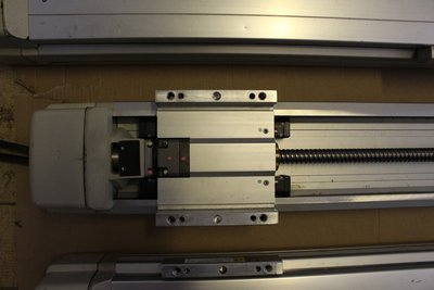osy 002.JPG