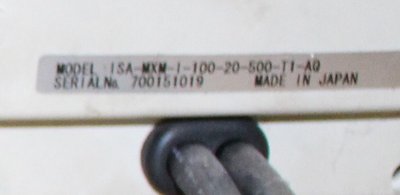 osy 004.JPG